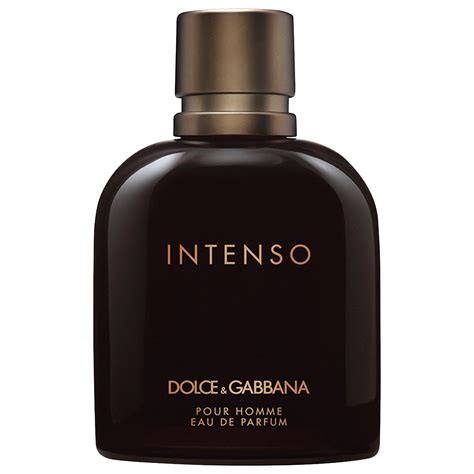 dolce gabbana intenso dupe|dolce & gabbana intenso 125ml.